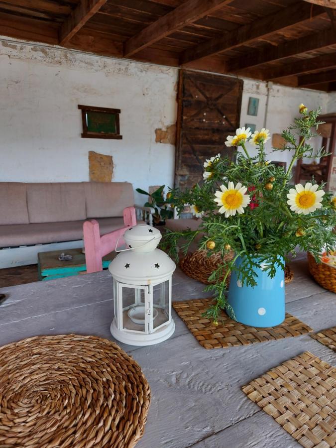 Ferienwohnung Casa Elsa Puerto del Rosario  Exterior foto